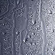 showerguard